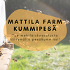 Kummipesä