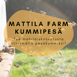 Kummipesä
